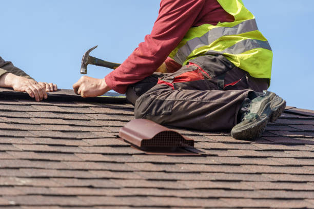 Roof Gutter Cleaning in Dwight, IL