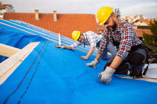 Best Storm Damage Roof Repair  in Dwight, IL
